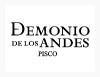DEMONIO DE LOS ANDES