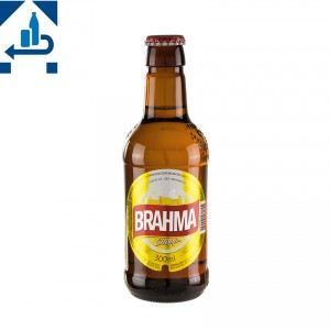 BRAHMA Chopp brasilianisches Bier 300ml, 4,8% vol. --DPG--