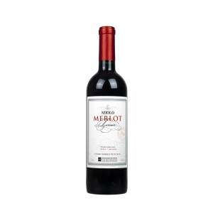 MIOLO Merlot Terroir, brasilianischer Rotwein, 750ml 15%vol